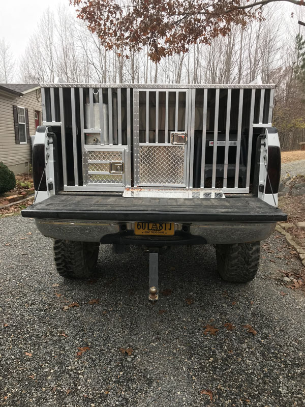 Sweeney's Dog Boxes Over the Rail