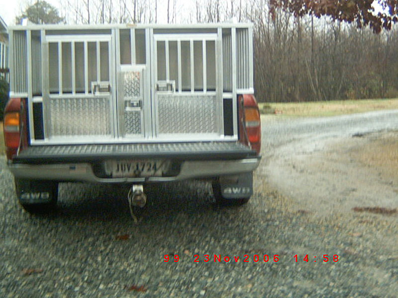 ch-dog-box-013