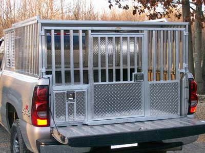 ch-dog-box-036