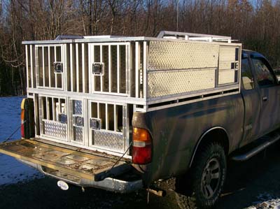ch2-dog-box-299